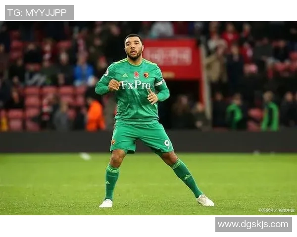 南安普顿主场迎战加迪夫城期待精彩对决与胜利之争 南安普顿主场迎战加迪夫城期待精彩对决与胜利之争