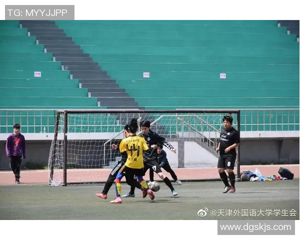 西安排球队阵地战解析：战术布局与球员配合的深度剖析